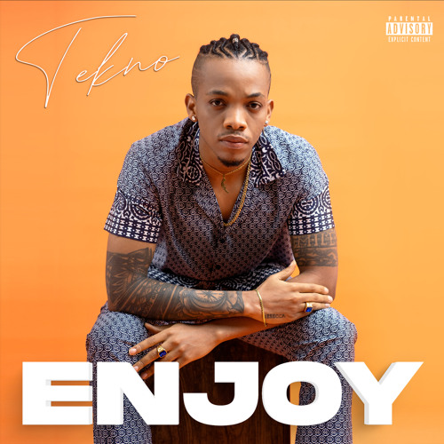 Tekno - Enjoy (Naija Afrobeat MP3)