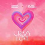 Wendy-Shay-Crazy